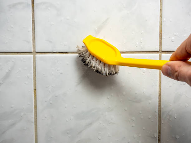Best Local Mold Removal Service  in Boaz, AL