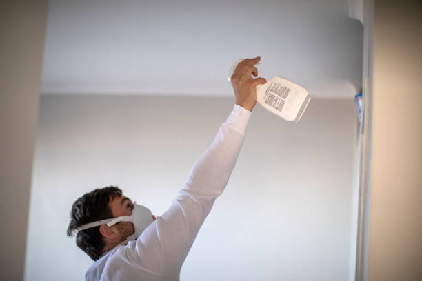 Best Same-Day Mold Removal  in Boaz, AL