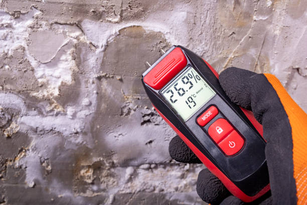Best Toxic Mold Removal  in Boaz, AL