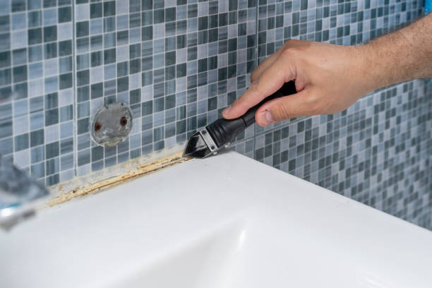 Best Mold Testing and Removal  in Boaz, AL